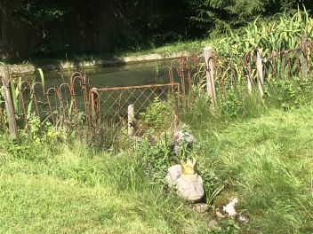Badeteich Mit Frosch